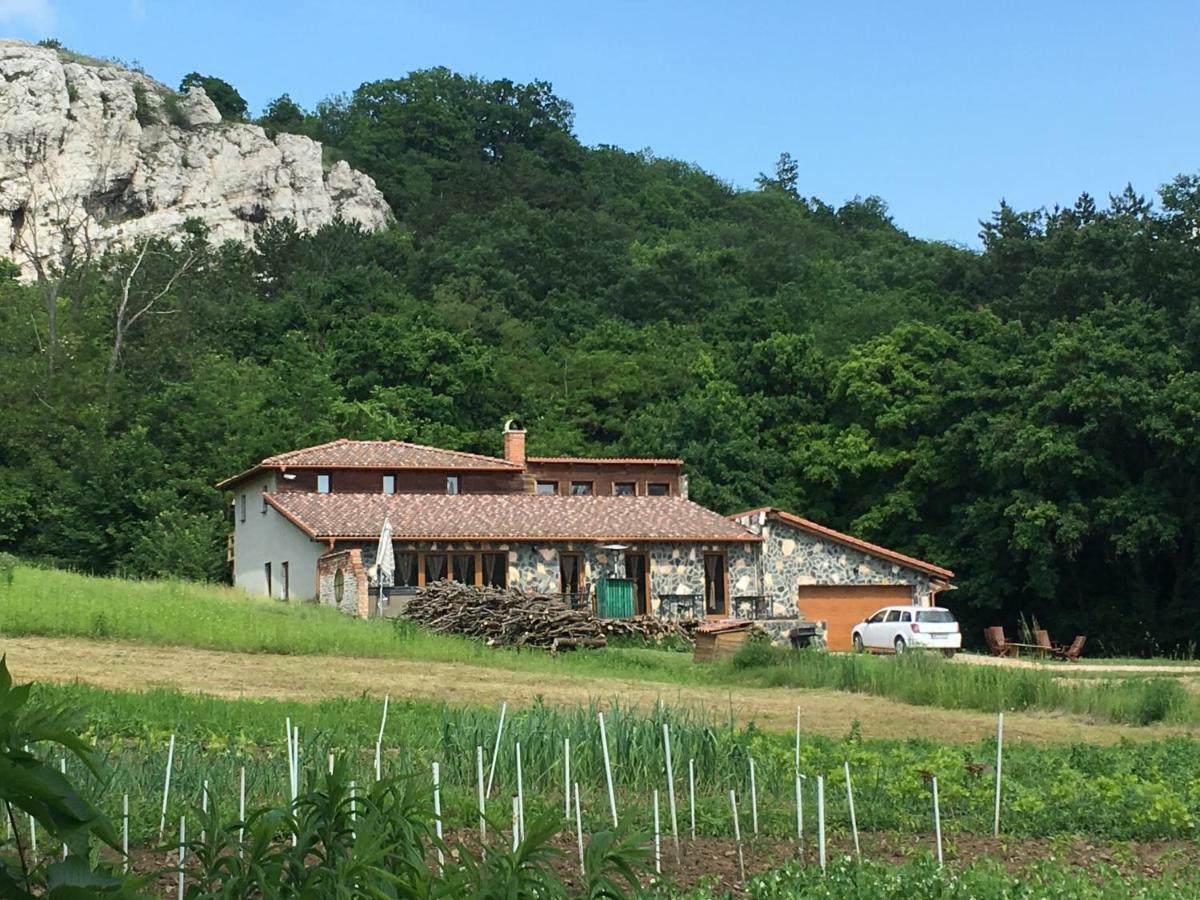 Old Stone Villa Obarok 외부 사진